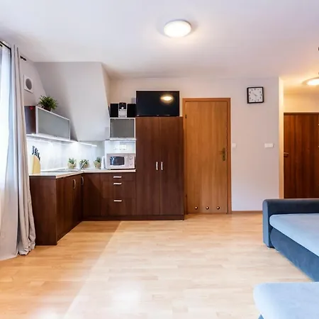 Udanypobyt Skocznia דירה זקופאנה